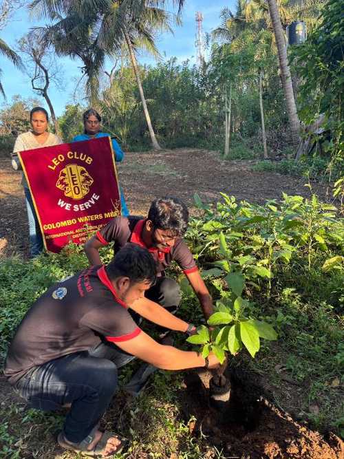 Heatra